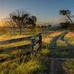 farm-australia-15