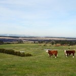 farm-australia-18