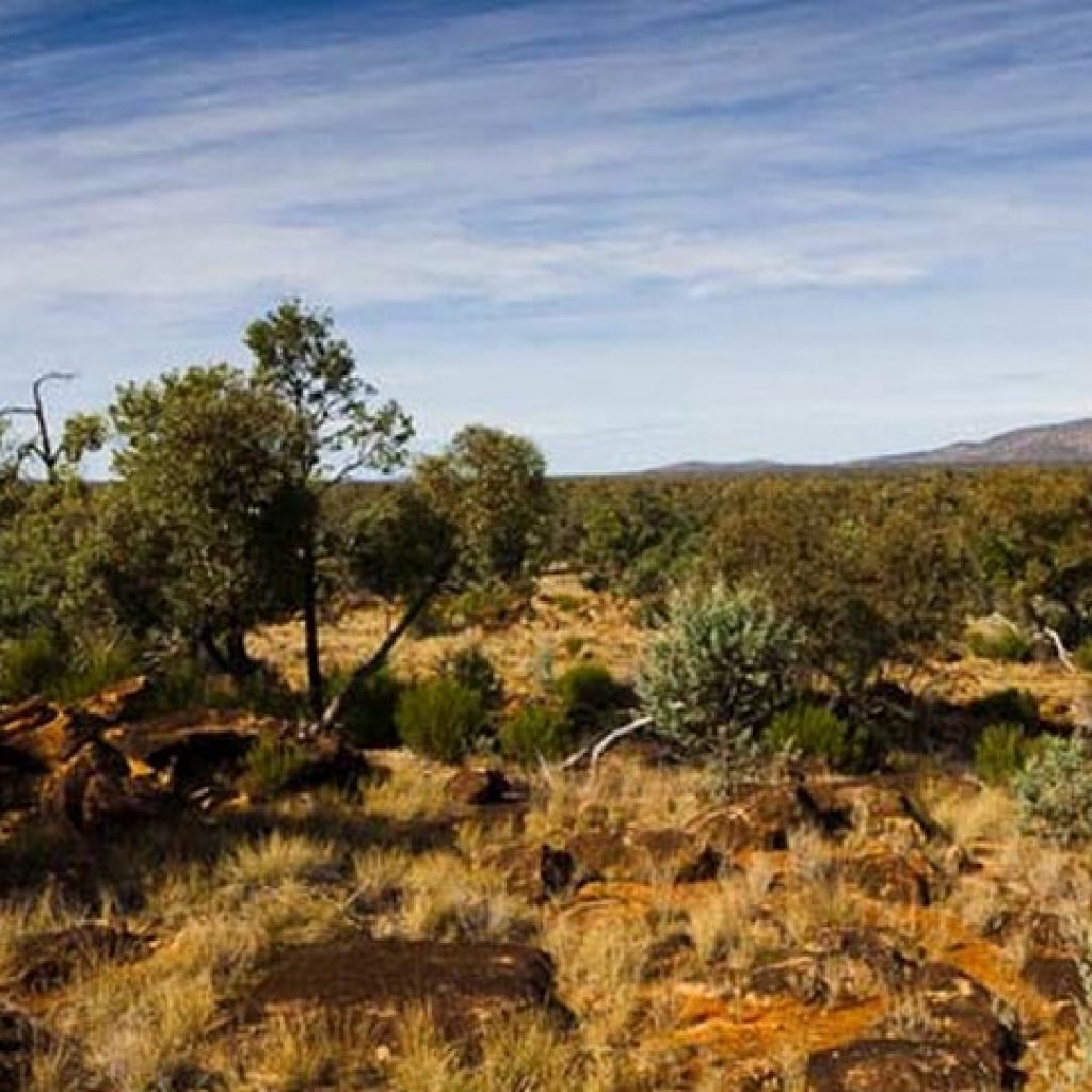 outback-new-south-wales