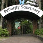 Australian Butterfly Sanctuary