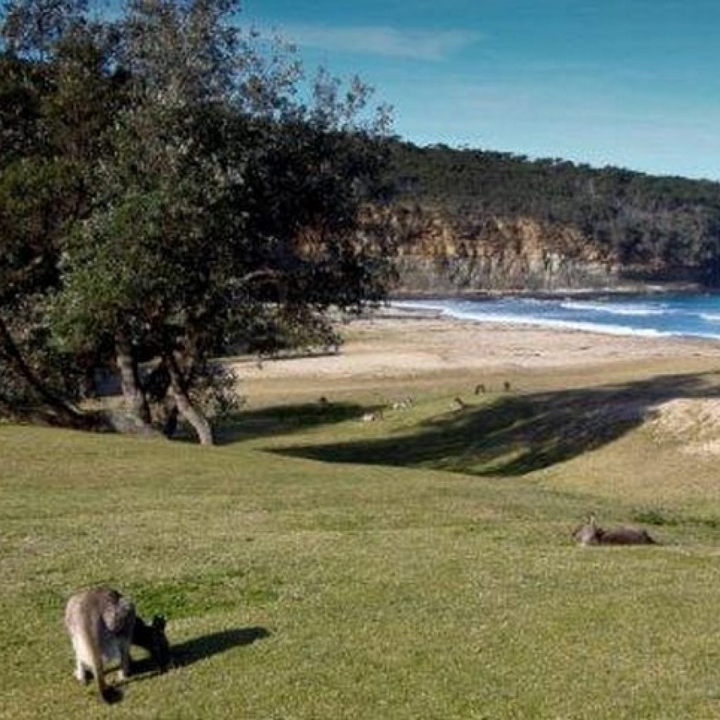 Pebbly Beach