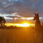 tramonti-in-australia