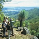 Lamington-National-Park