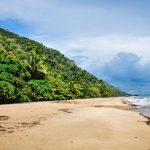 Daintree National Park