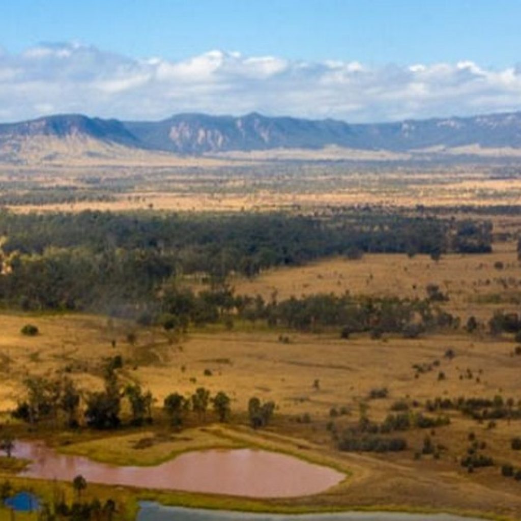 Darling Downs