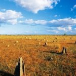 Lakefield National Park