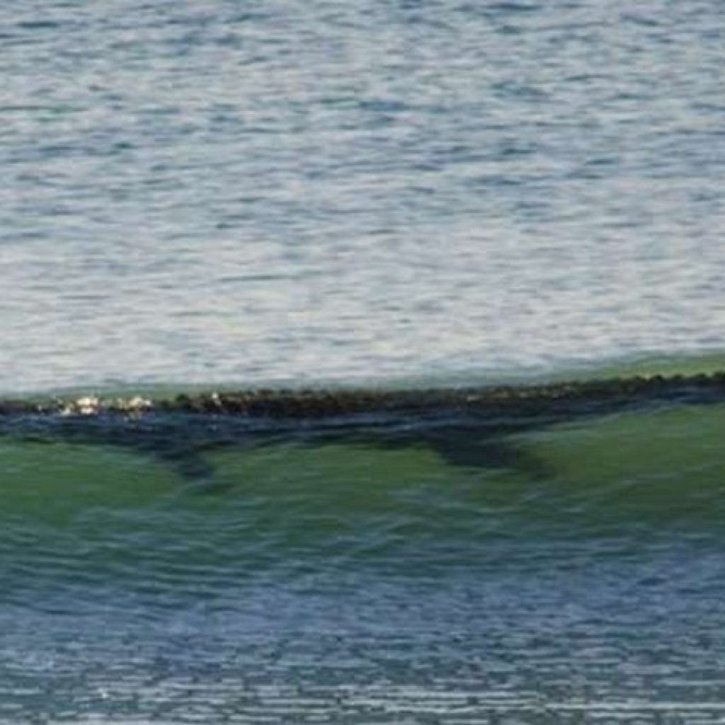 Sicurezza sulle spiagge Australiane