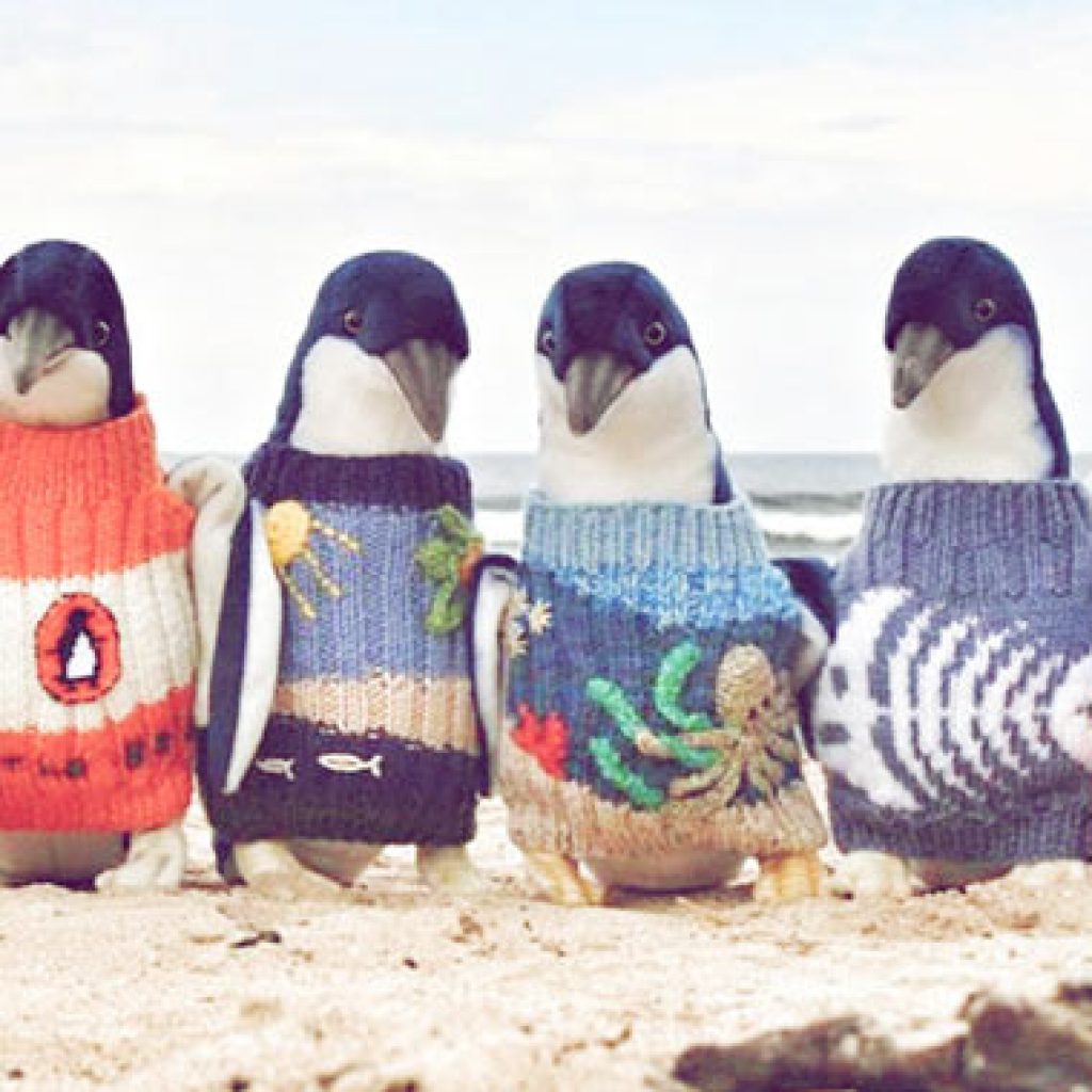 L'uomo-che-crea-maglioncini-per-pinguini
