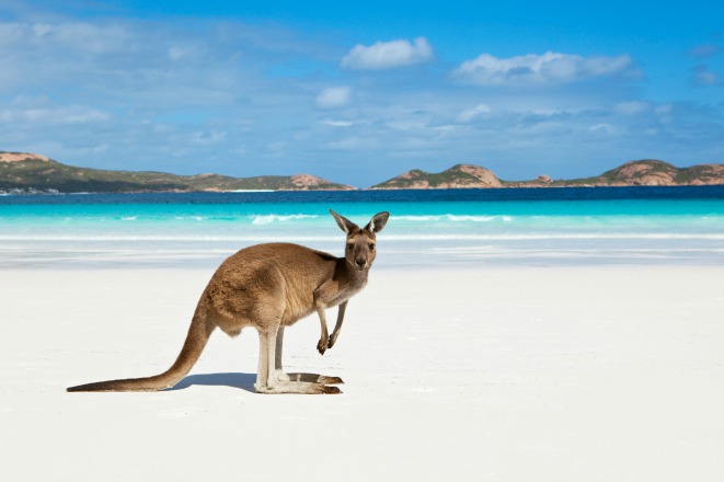 kangaroo-island