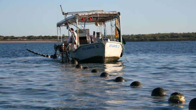 raccolta-delle-perle-in-australia