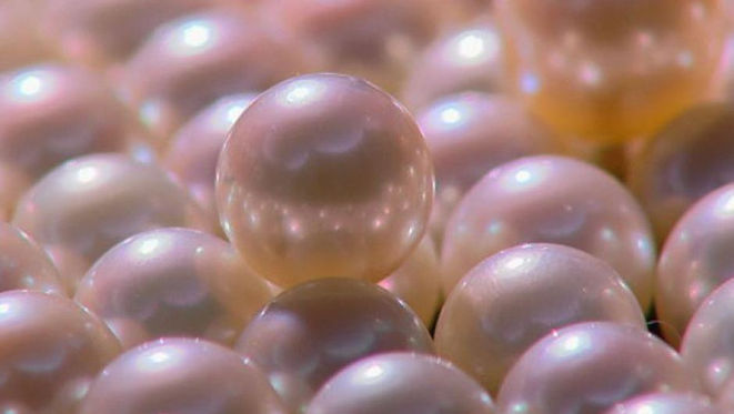 raccolta-delle-perle-in-australia