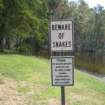 attenzione-serpenti-australia