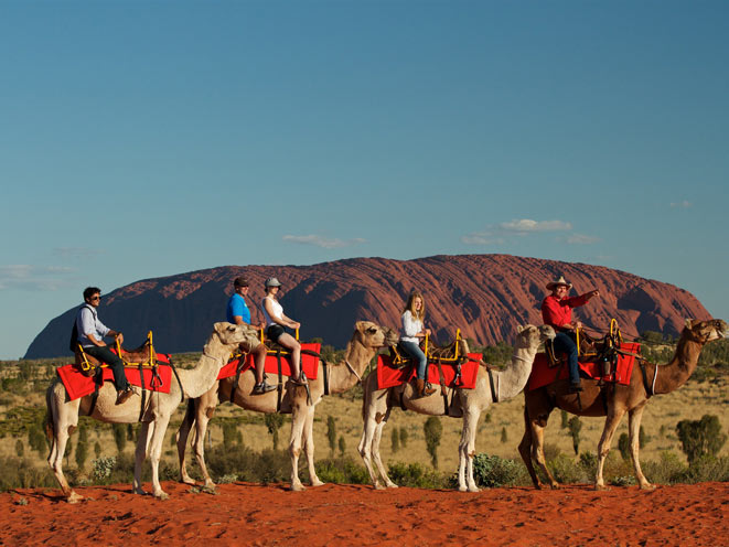 uluru-camel-tours